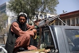 A bearded man with a giant rifle sits in the tray of a ute, looking at the camera 