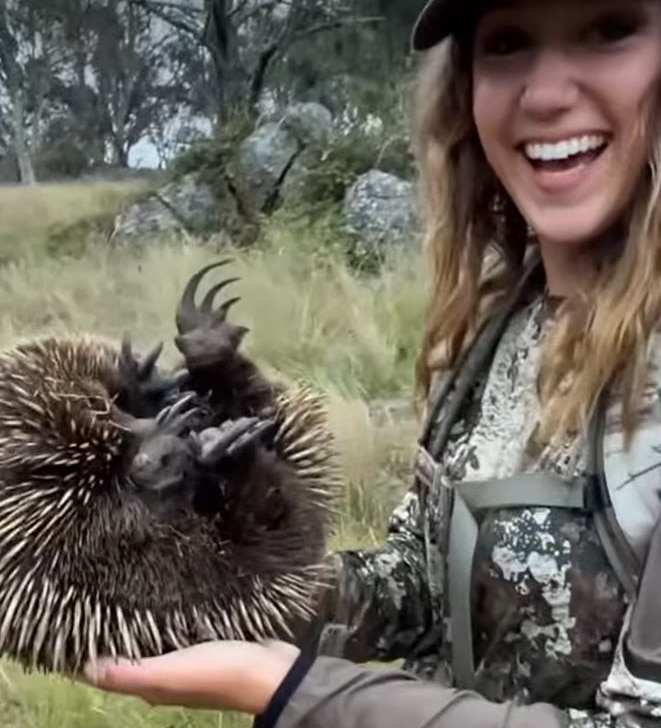 Sam Jones holding an echidna in a video posted to Facebook 