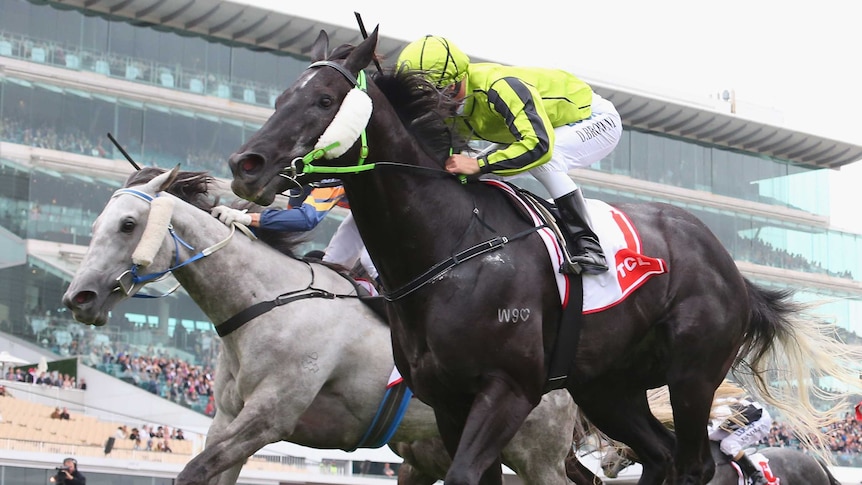 Black Cash wins Subzero Challenge at Flemington