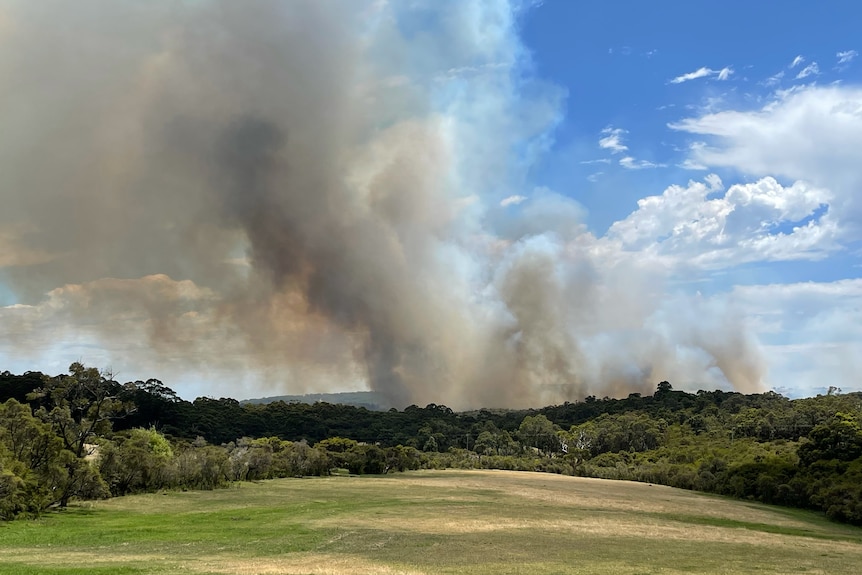 Bushfire