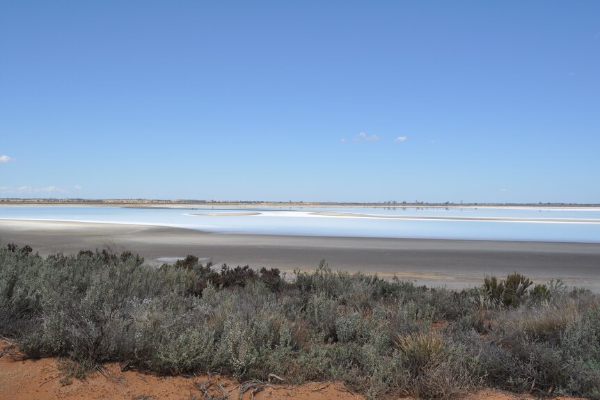 A landscape shot of a lake