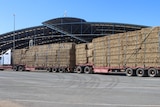 A large truck holding hundreds of hay bales 
