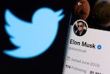 Elon Musk's twitter account is seen on a smartphone in front of the Twitter logo in this photo illustration