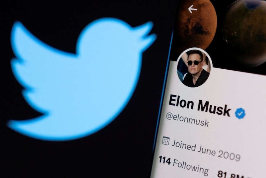 Elon Musk's twitter account is seen on a smartphone in front of the Twitter logo in this photo illustration