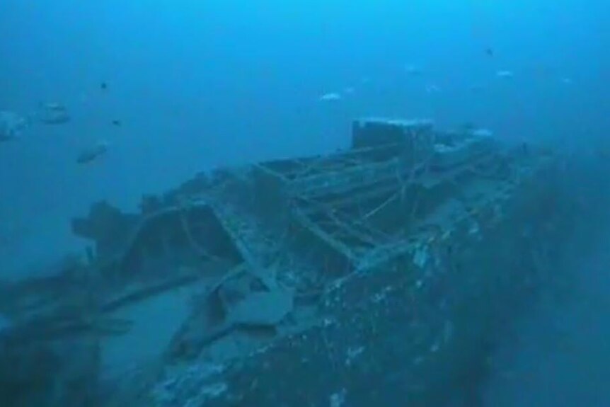 Fotografía submarina del naufragio