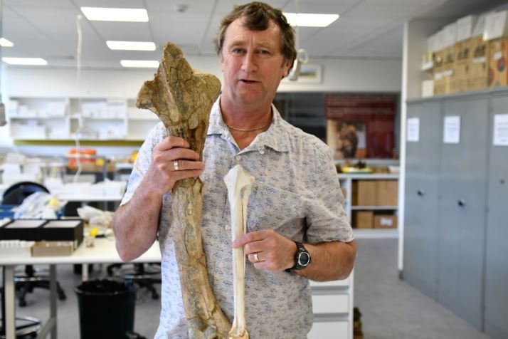 A man holding two bones, one much larger than the other