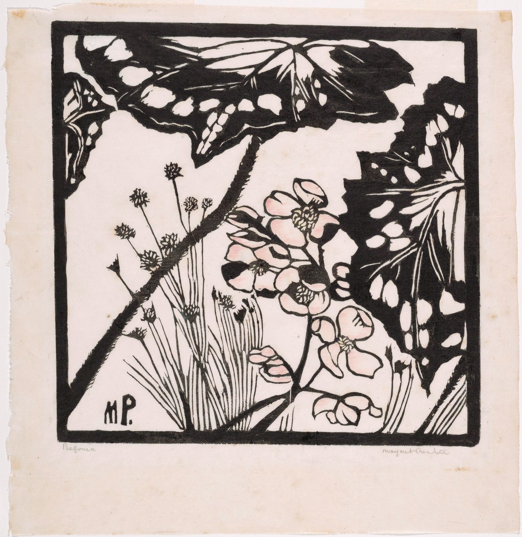 A print by Margaret Preston of begonias, stark black outlined flowers, dabs of light pink
