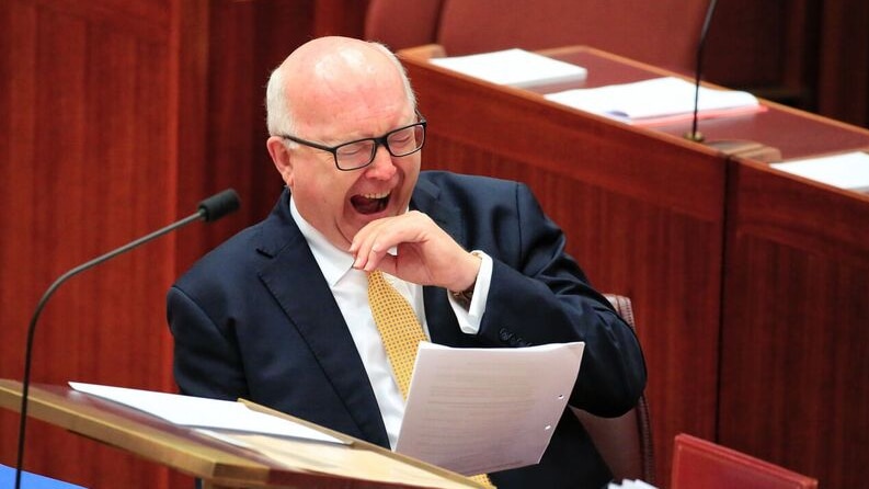 Federal Attorney-General George Brandis yawns while reading a document in the Senate.
