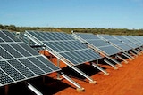 The backers of the Moree Solar Farm have been assured the project's on track to recieve Federal funding. (file photograph)