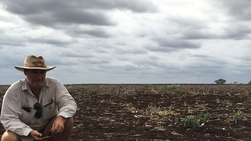 Kilcummin farmer, Peter Anderson, squats in a bare paddock.
