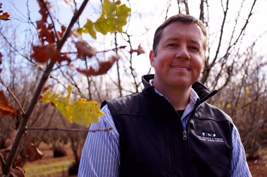 Alex Wilson from The Truffle and Wine Co stands among the oak trees.