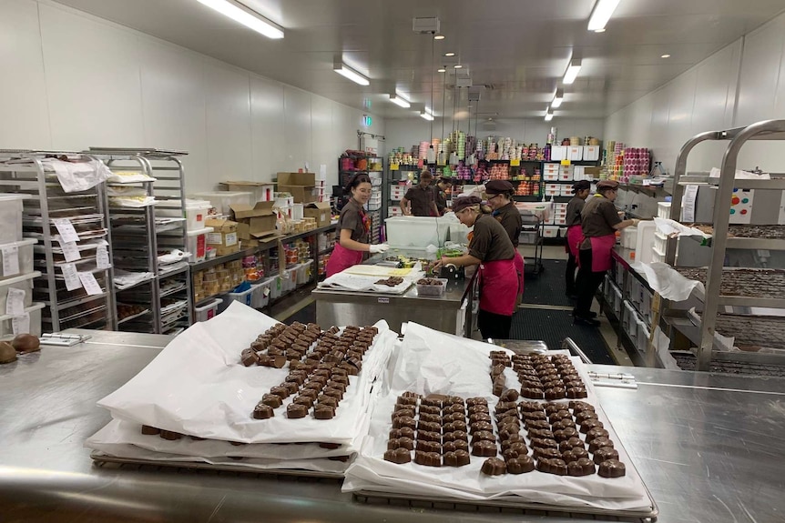Workers make and package chocolates in an industrial kitchen.