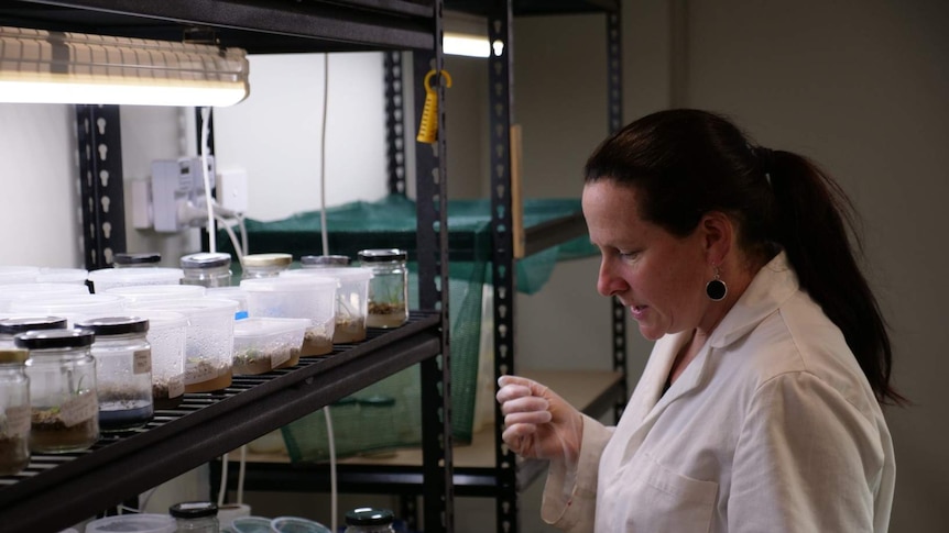 A women in a white coat and gloves in a laboratory.