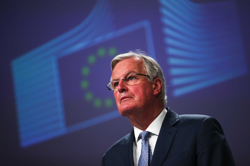 A man in glasses and tie and grey hair stands in front of a projection of the EU flag logo.