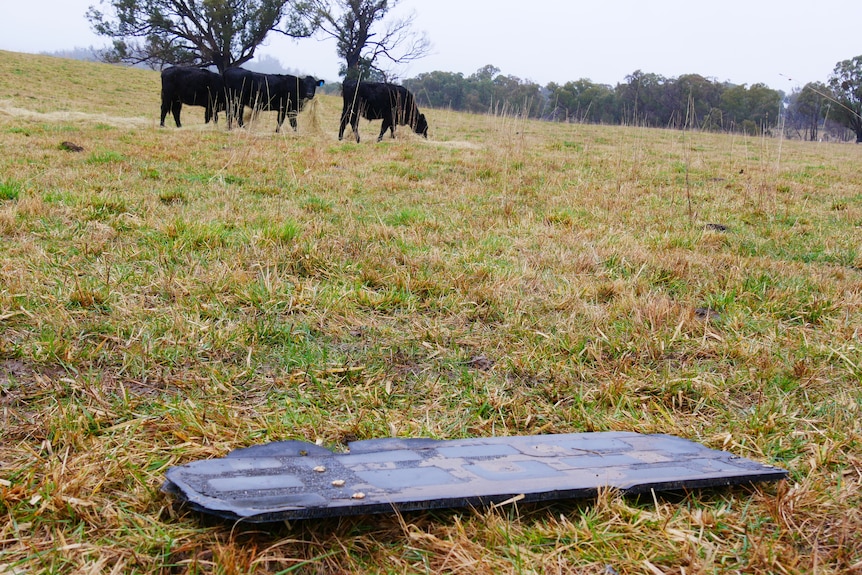 Space junk on a cattle farm