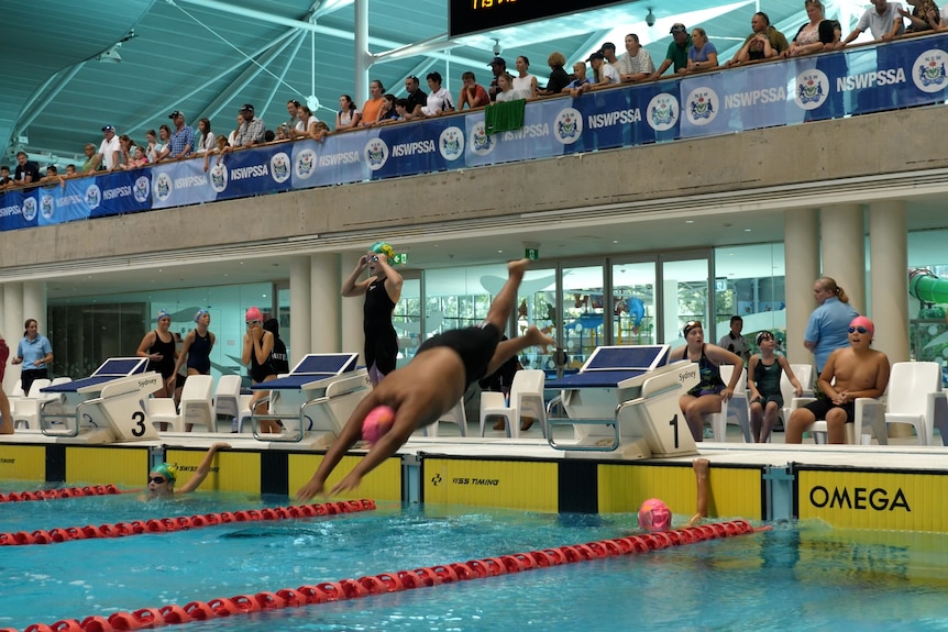 A boy wearing a pink swim cap dives into the water at an olympic swimming pool