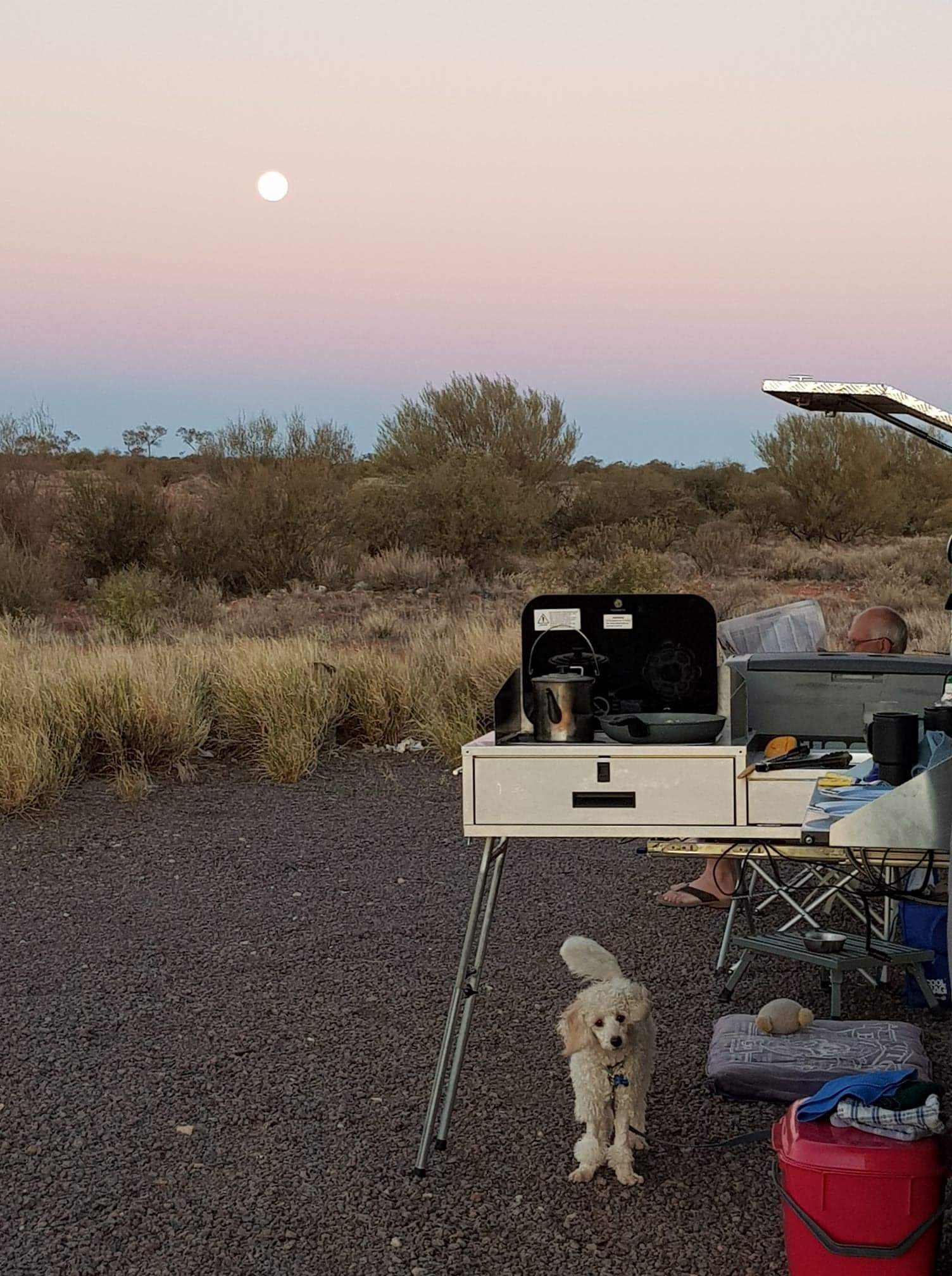 Archie the poodle sits under a stove at Julie's camp site, for a story on looking after pets on holidays.