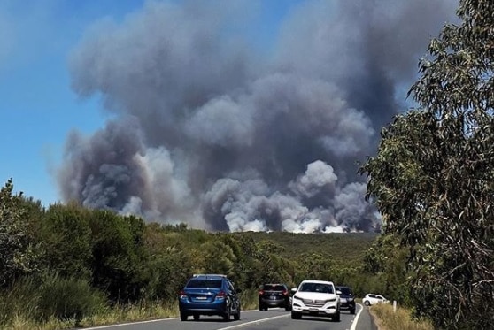 Smoke over cars