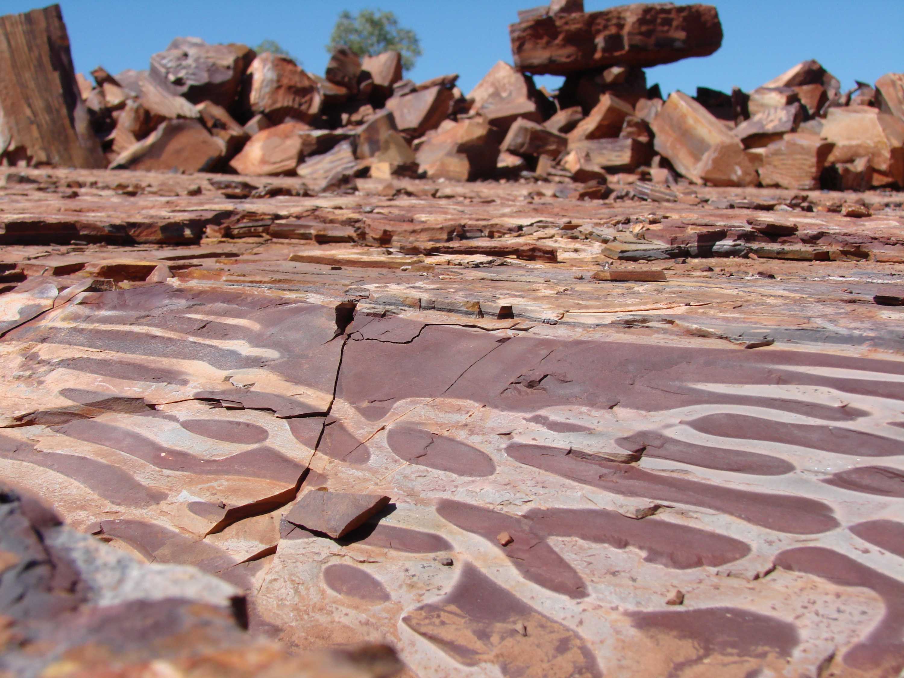 Mining company chooses to protect rare deposit of zebra rock rather