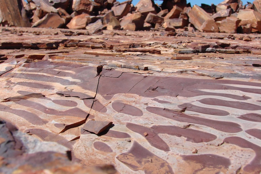 Mining pit showing zebra rock seam