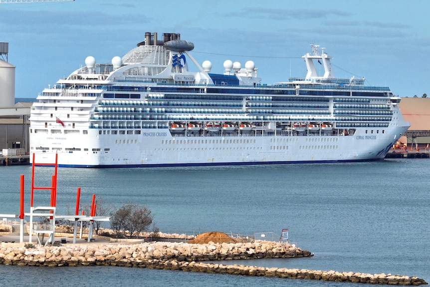 A large cruise ship docked at a port