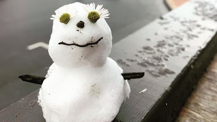 Snowman on a railing.