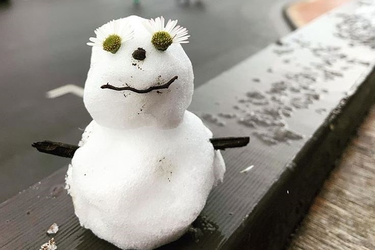 Snowman on a railing.