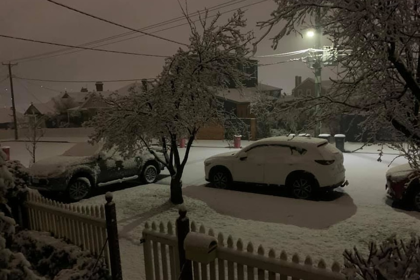 Snow covering the ground, cars and trees in Balfour Street, East Launceston.
