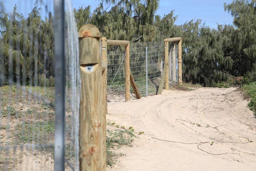 A dingo fence around a beachfront campsite on Fraser Island off southern Queensland.