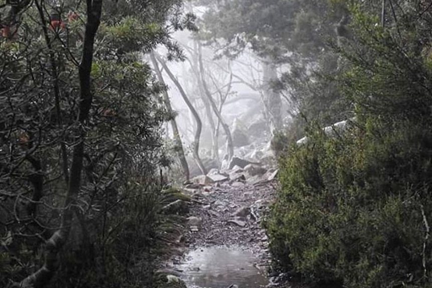 The Organ Pipes track on Mount Wellington