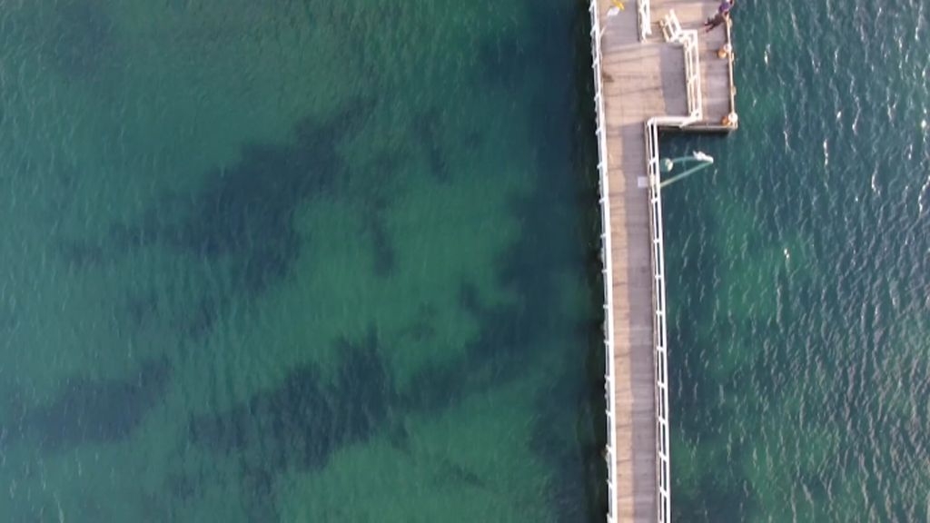 A Group Of Mothers In Melbourne Have Taken To Cold Water Swimming During Coronavirus To Boost Their Mental Health Abc News