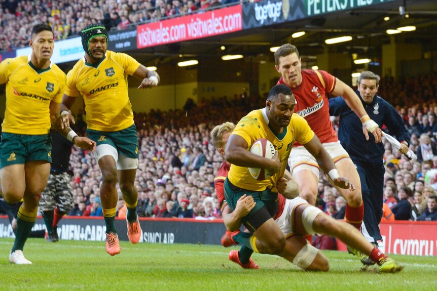 Tevita Kuridrani scores a try for the Wallabies against Wales in Cardiff on November 5, 2016.
