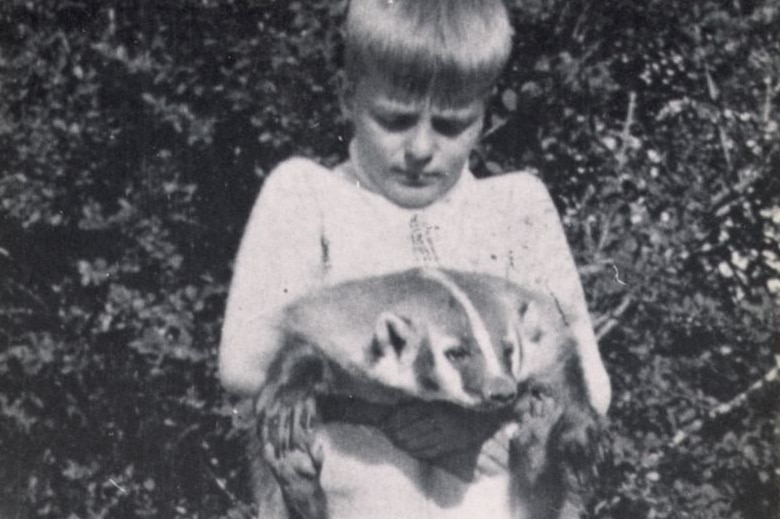 Archibald Roosevelt, a son of Theodore Roosevelt, holds the family's pet badger Josiah.