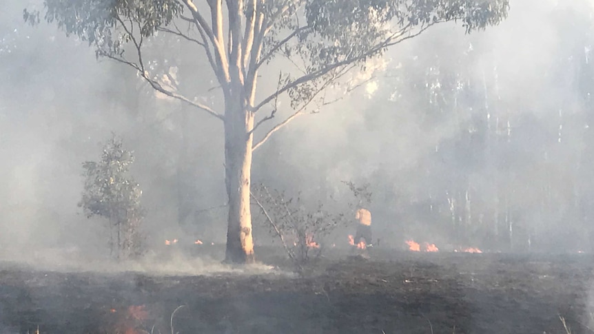 Looking through flames and heat haze at a fireman inspecting burnt ground