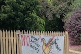 A poster campaigning against chicken broiler farm plans in Baringhup.