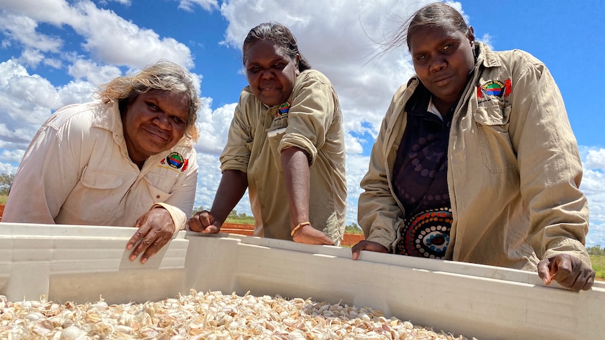 Three ladies from the NT standing in front of a garlic bin.