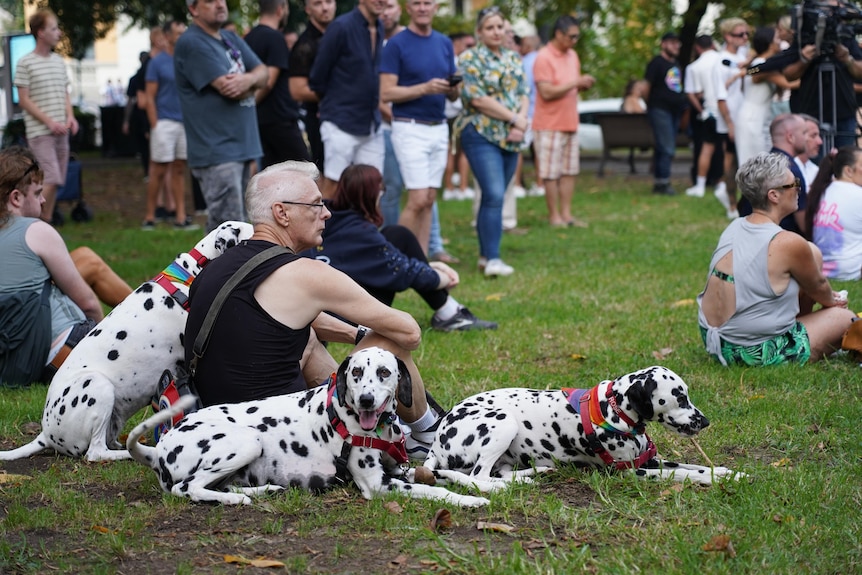 Man with three big black and white dogs sits at park for vigil for luke davies and jesse baird