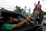 A man on an elephant next to a man leaning out of a car window, grabbing a pamphlet