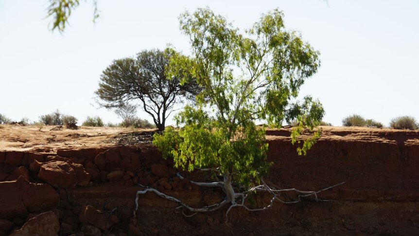 Erosion at Wooleen Station