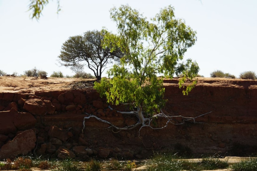 Erosion at Wooleen Station