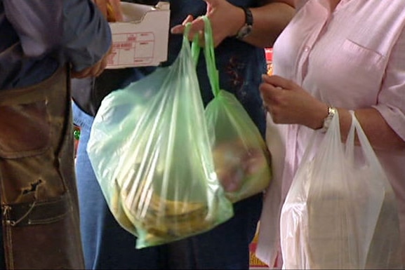 Unidentified shopper carries plastic bag filled with fruit