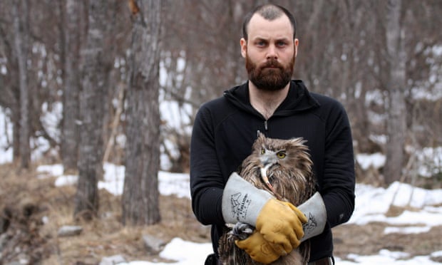 The hunt for the world’s largest owl