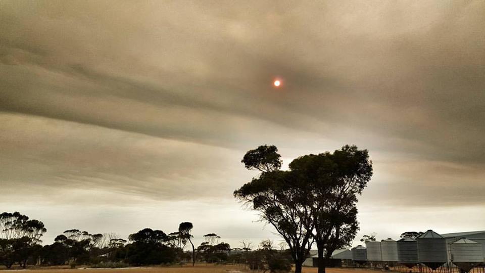 WA fire: Dairy farmers forced to dump milk as bushfire continues to ...