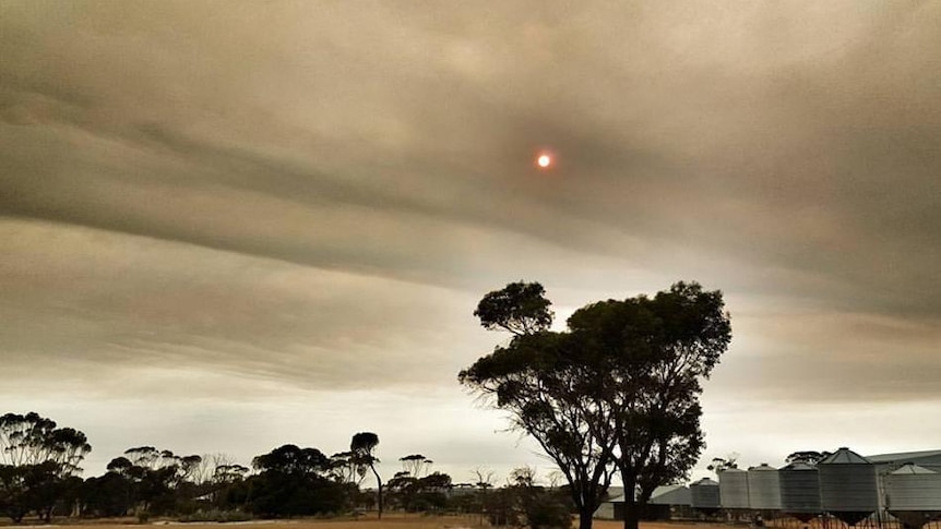 A view of a red sun in a smoky sky.