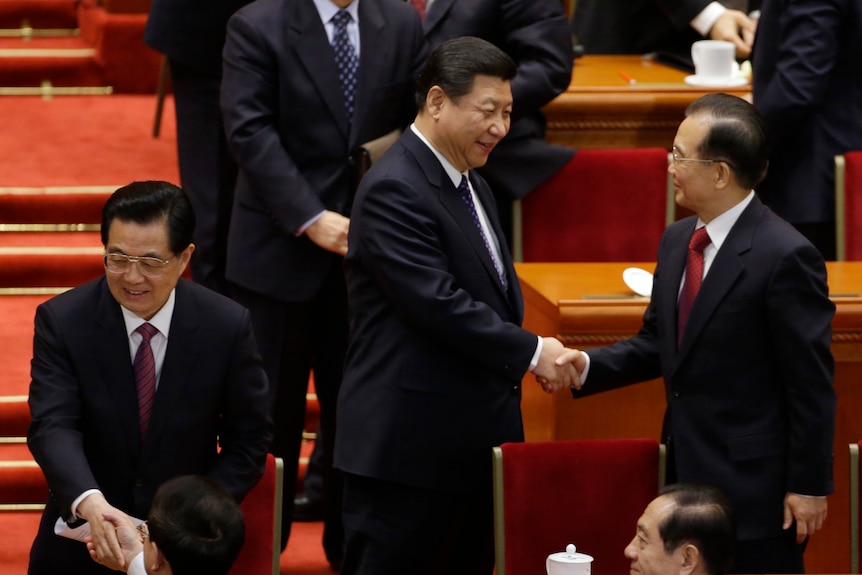 Xi Jinping shakes hands with another man 