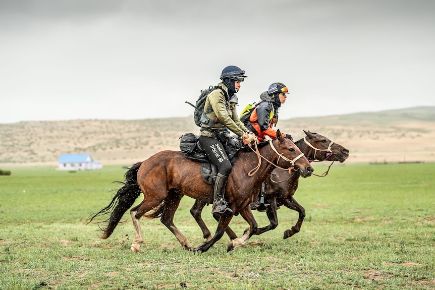 Two horses with riders racing through a green paddock in Mongolia