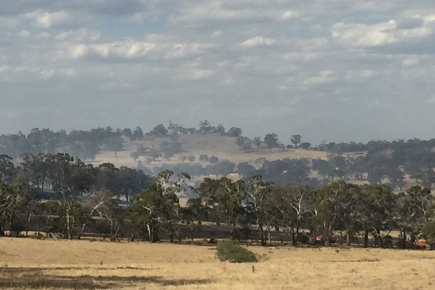 Fire crews black out areas of a blaze at Edgecombe, central Victoria