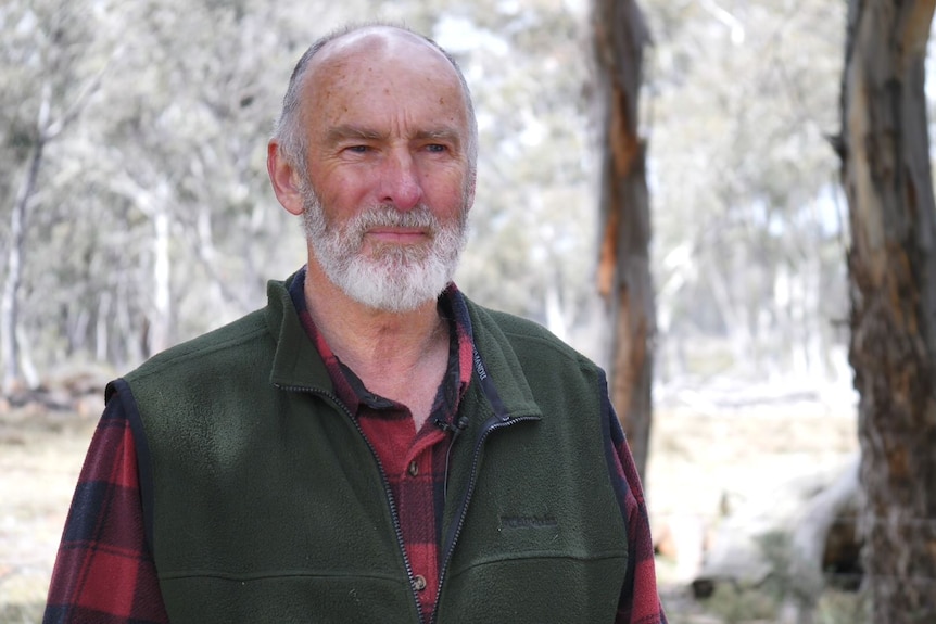 A man standing in the forest.