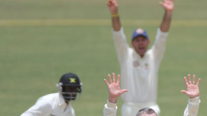 Stuart MacGill successfully appeals a wicket