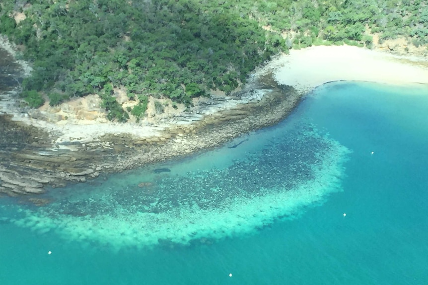 Coral bleaching from an aerial view.